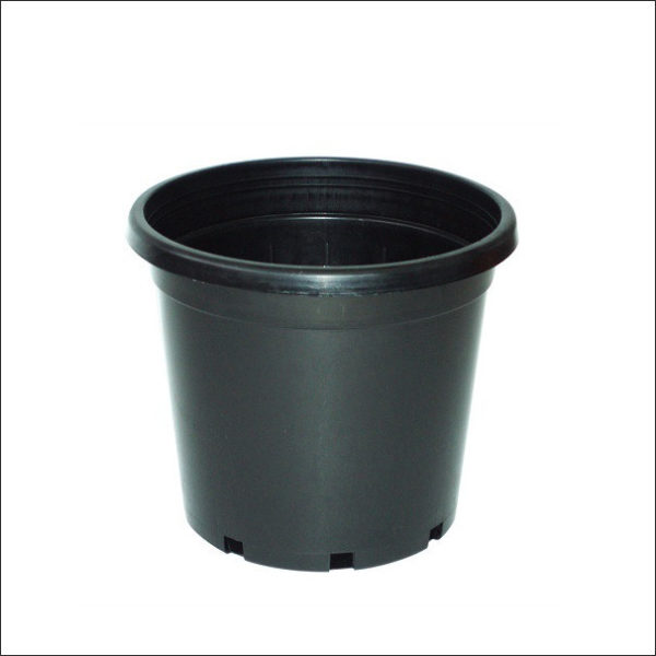 Yoidentity Pot (Black)