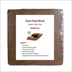 Yoidentity Cocopeat Block Premium