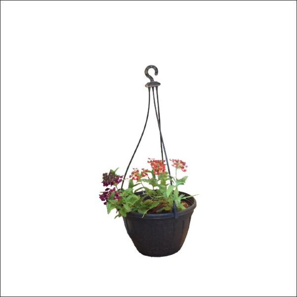 Yoidentity Verbena Plant Hanging