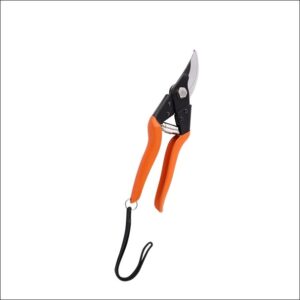 Bypass pruner with curved blades for cutting plants
