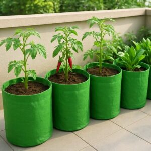 Buy round green grow bags online in Bangalore – perfect for balcony and rooftop gardening with vegetables like tomato, chilli, and spinach