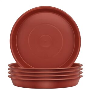 Terracotta plant saucer drainage plate set of 5 for pots