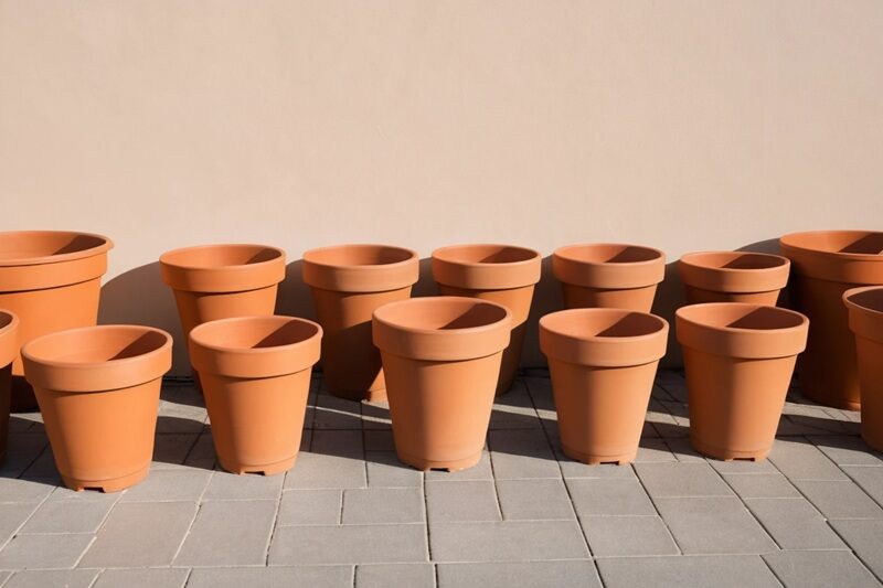 10 Things to Arrange Before Buying Roses Online 4 Large 12-inch pots arranged for planting rose plants