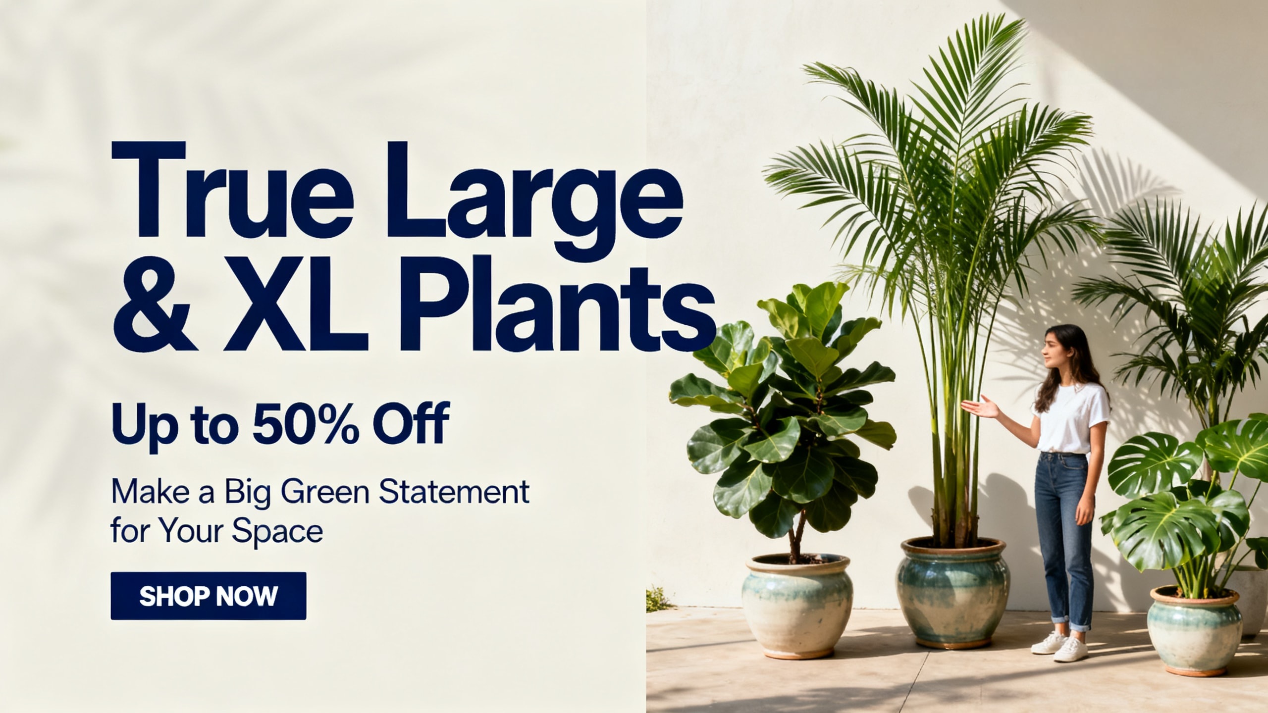 Grab true large and XL plants only at Yoidentity.