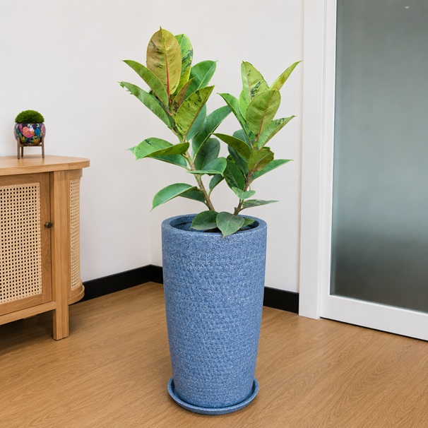 Aura Tall Tapered FRP Planter 1 Aura Tall Tapered FRP Planter with saucer, modern 2 feet lightweight and durable planter suitable for indoor and outdoor plants in homes, offices, balconies, and gardens.