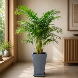 Tall square tapered FRP planter 2 feet with saucer, modern decorative planter pot for indoor and outdoor plants