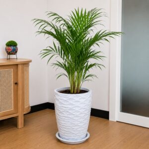 Tall textured wave cylindrical FRP planter 18 inch with saucer, modern indoor outdoor decorative plant pot