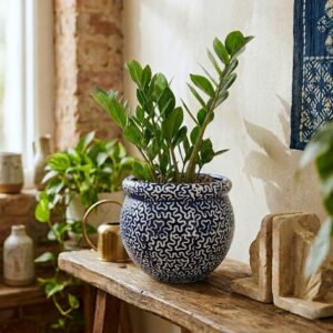 Terra Bloom 8-inch textured ceramic planter for indoor plants