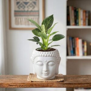 Zen Aura 6-inch Buddha face ceramic planter pot for indoor plants