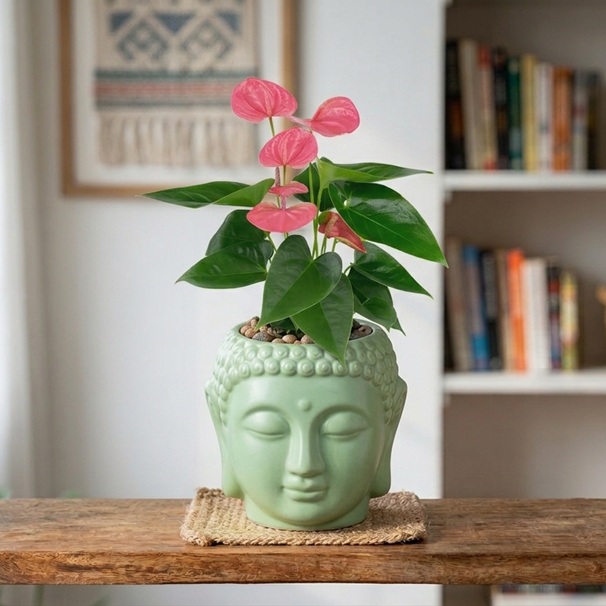 Zen Aura 8-Inch Buddha Face Ceramic Planter 1 Zen Aura 8-inch Buddha face ceramic planter pot for indoor plants